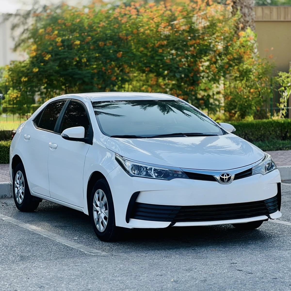 2019 Model Toyota Corolla